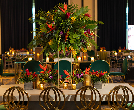 30 años Bionuclear – Havana